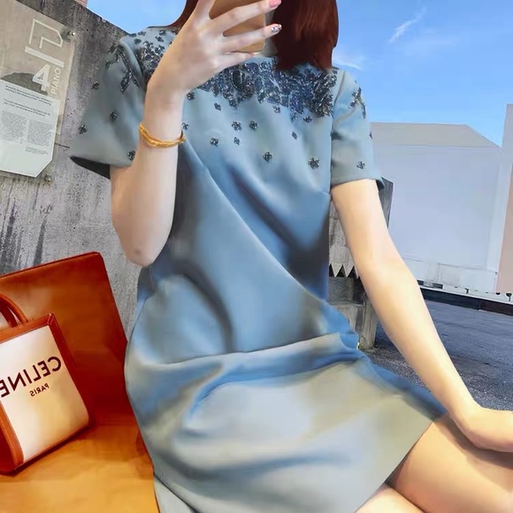 COPY - Embellished Dress - Picture 3 of 13